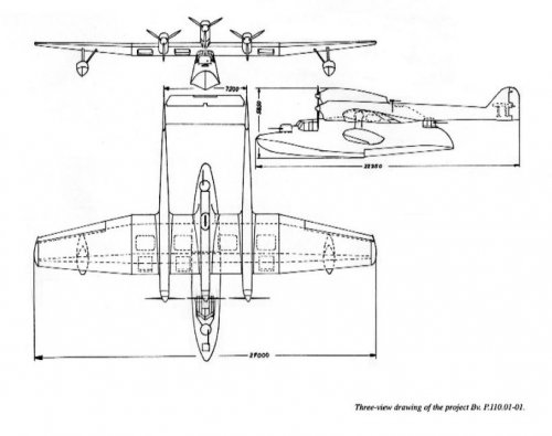 P.110.JPG