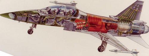 F-5H Cutaway.jpg