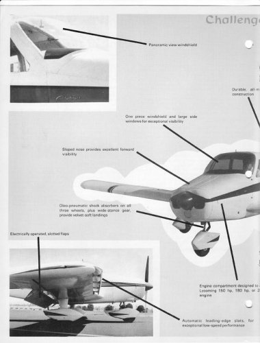 Cook P4.jpg