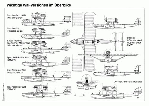 Wal versions.gif