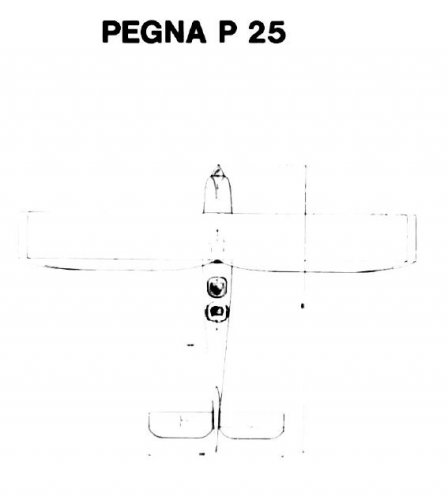 Piaggio P.25  2.JPG