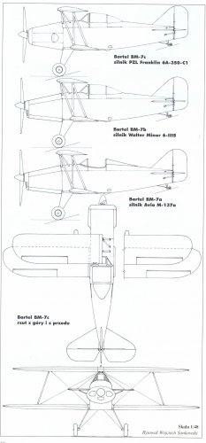 BM-7.jpg