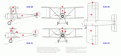 G.W.20 and 21 (main differences).gif