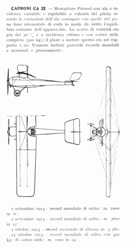 Caproni CA 22.gif