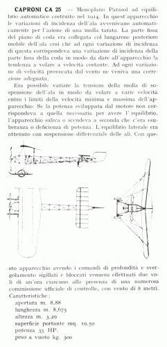 Caproni CA 25.gif