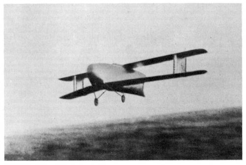 in flight 1.jpg