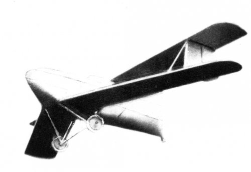 lippisch_heinkel_biplane_model.jpg