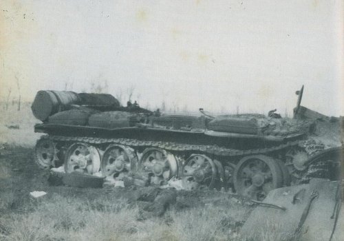 mpla fapla t55-1 (33).JPG