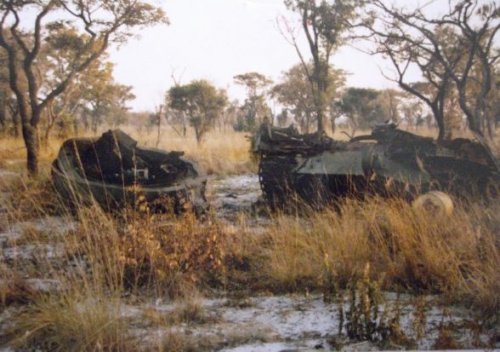 mpla fapla t55 1 (50).jpg