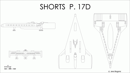 Shorts_P-17D.gif