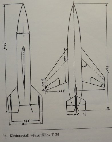 Feuerlilie-25.jpg