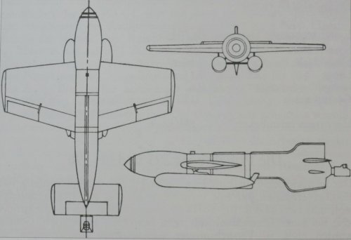 Hs-295.jpg