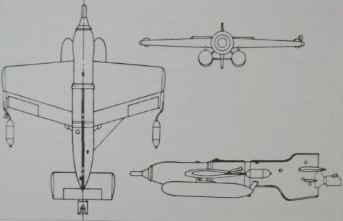 Hs-296.jpg