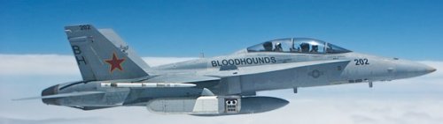 VX-30-F-18-TIGER.jpg