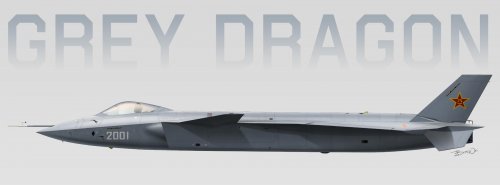 J-20 Grey Dragon.jpg