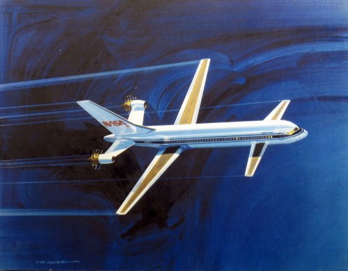 Boeing canard.jpg