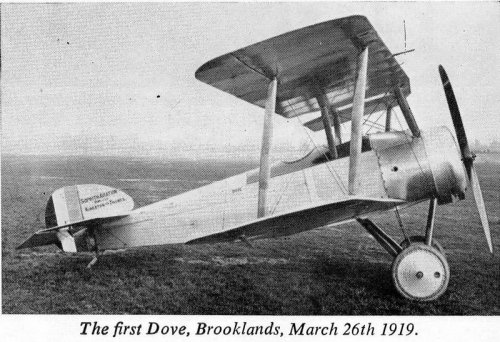 Sopwith Dove.jpg