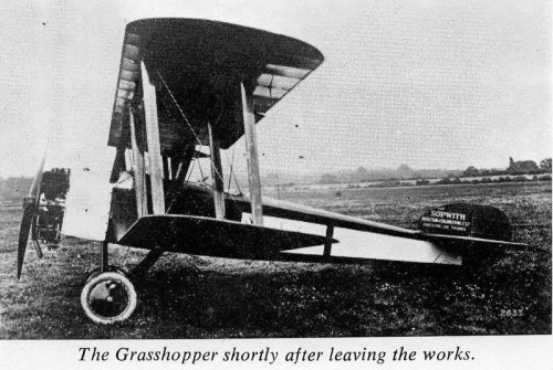 Sopwith Grasshopper.jpg