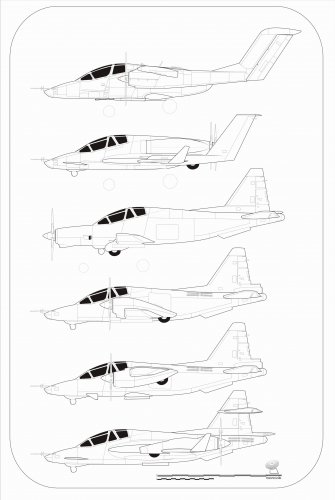 Resize of T-8V (based on Su-25)(100-2).jpg