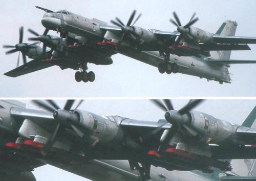 Tu-95MS + Ch-101 detail.jpg