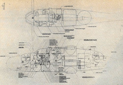 XXP-61.jpg