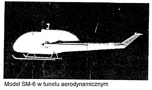 SM-6  model.JPG