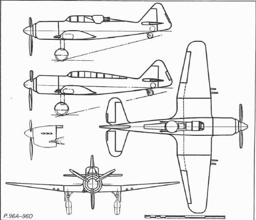 P.96 variants.JPG