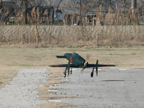 SHINDEN J7W1 ARGY (10).jpg