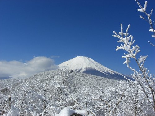 MT FUJI.jpg