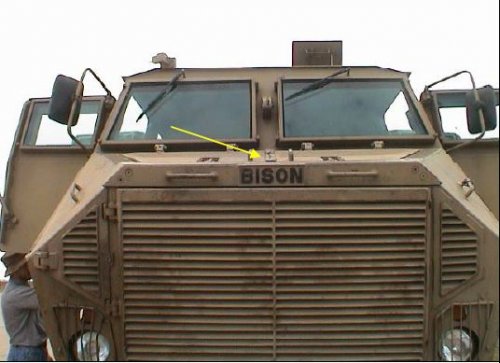 bison03.JPG