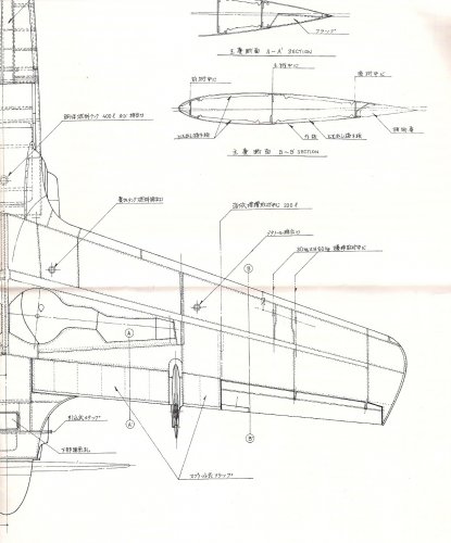 Shinden's wing 2.jpg