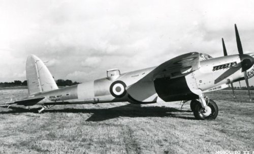 mosquito.tt.39.pf606.jpg