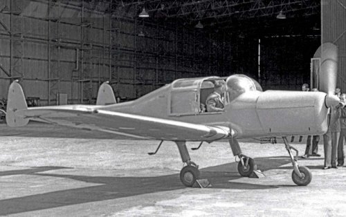 cygnet-07.jpg