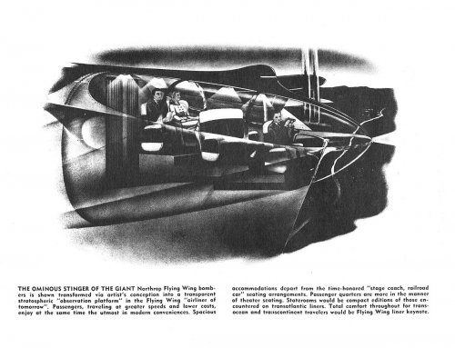 p3.jpg