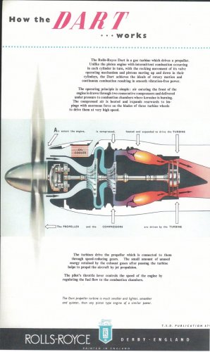 RR DART.jpg