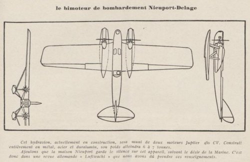 NiD-50.JPG