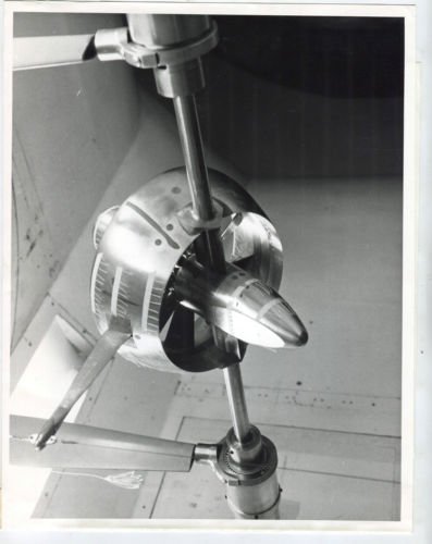 Shorts Skyspy-1.jpg