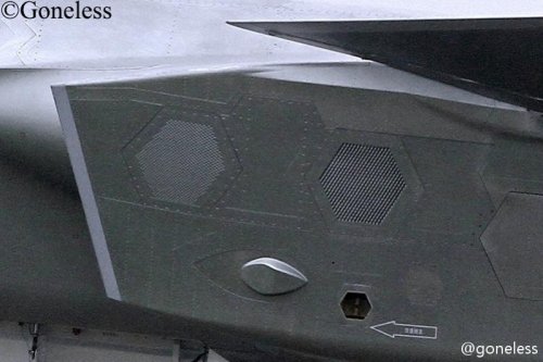 J-20 2011 side arrays.jpg