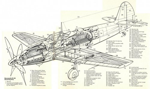 260611_kawasaki-ki-5-yaponiya_11.jpg