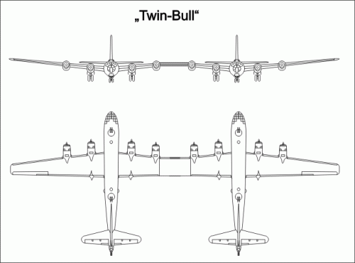 Twin-Bull.gif