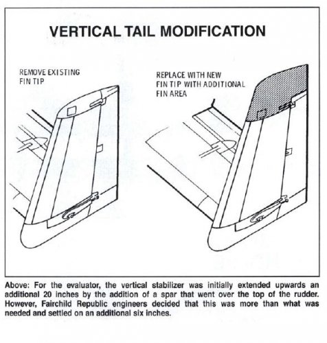 Tail.JPG