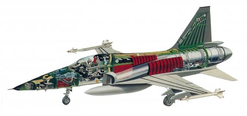 Tigershark cutaway.jpg