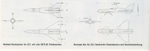 He.231 variants.png