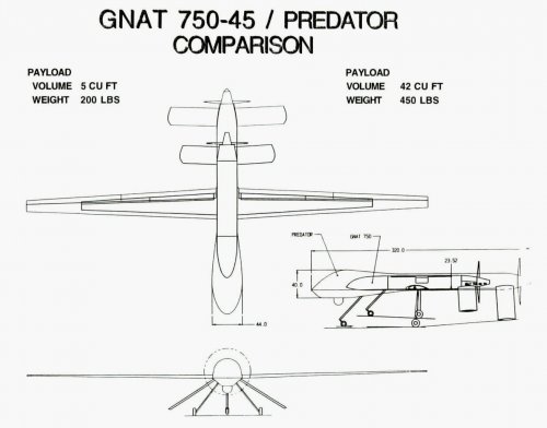 GNAT 750-45 - PREDATOR comparison.jpg