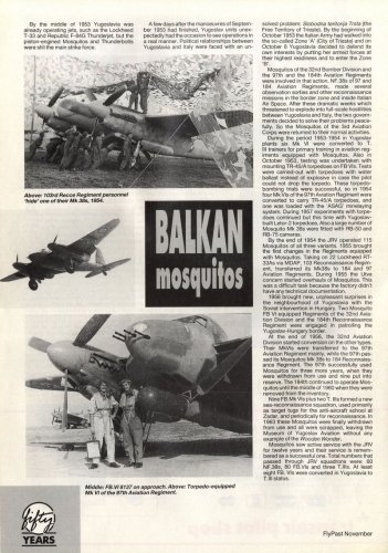 moskito 2.jpg