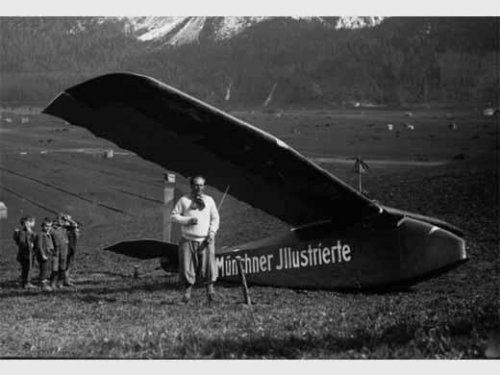 Udet_Alpensegler.jpg