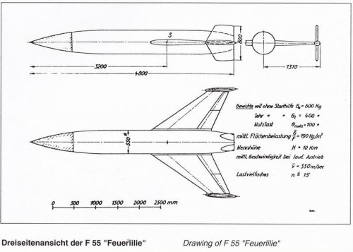 F-55_01.jpg