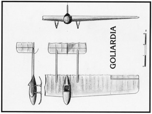 Cambilargiu_Goliardia_3v.jpg