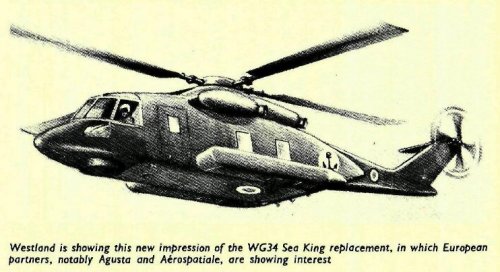 WG34_Marina_Flight_1979.JPEG