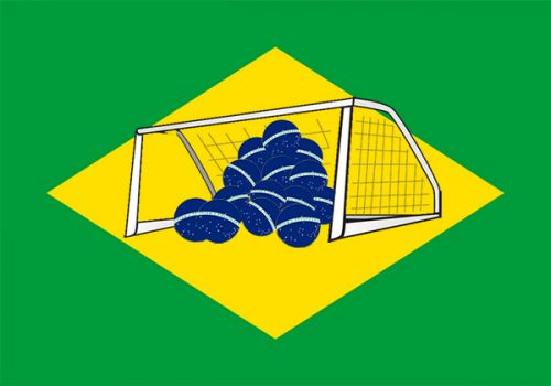 new brazilian flag.png